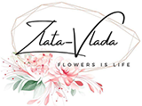 zlata-vlada